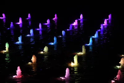 DSC_1705 (Large).JPG